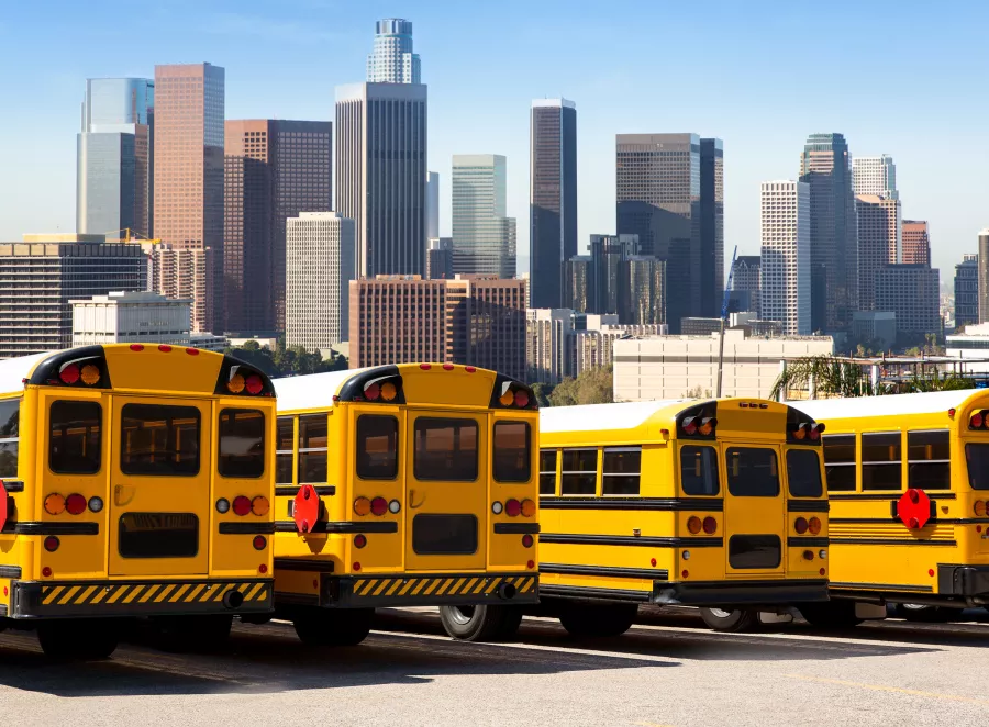 Education projects